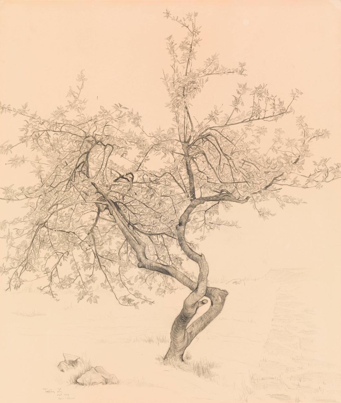Apel, Öland