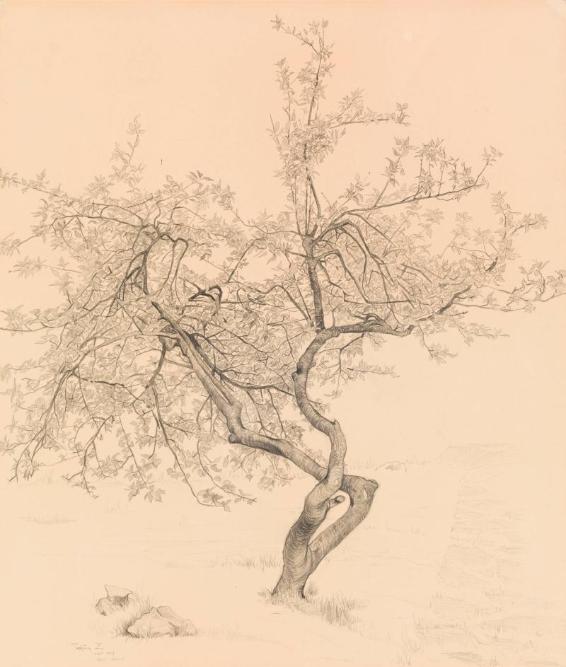 Apel, Öland