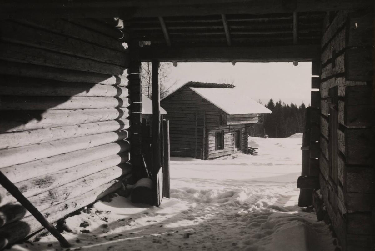 VIntermotiv från Frykås fäbod, Dalarna
