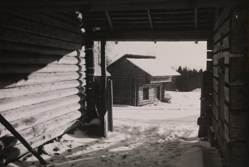 VIntermotiv från Frykås fäbod, Dalarna