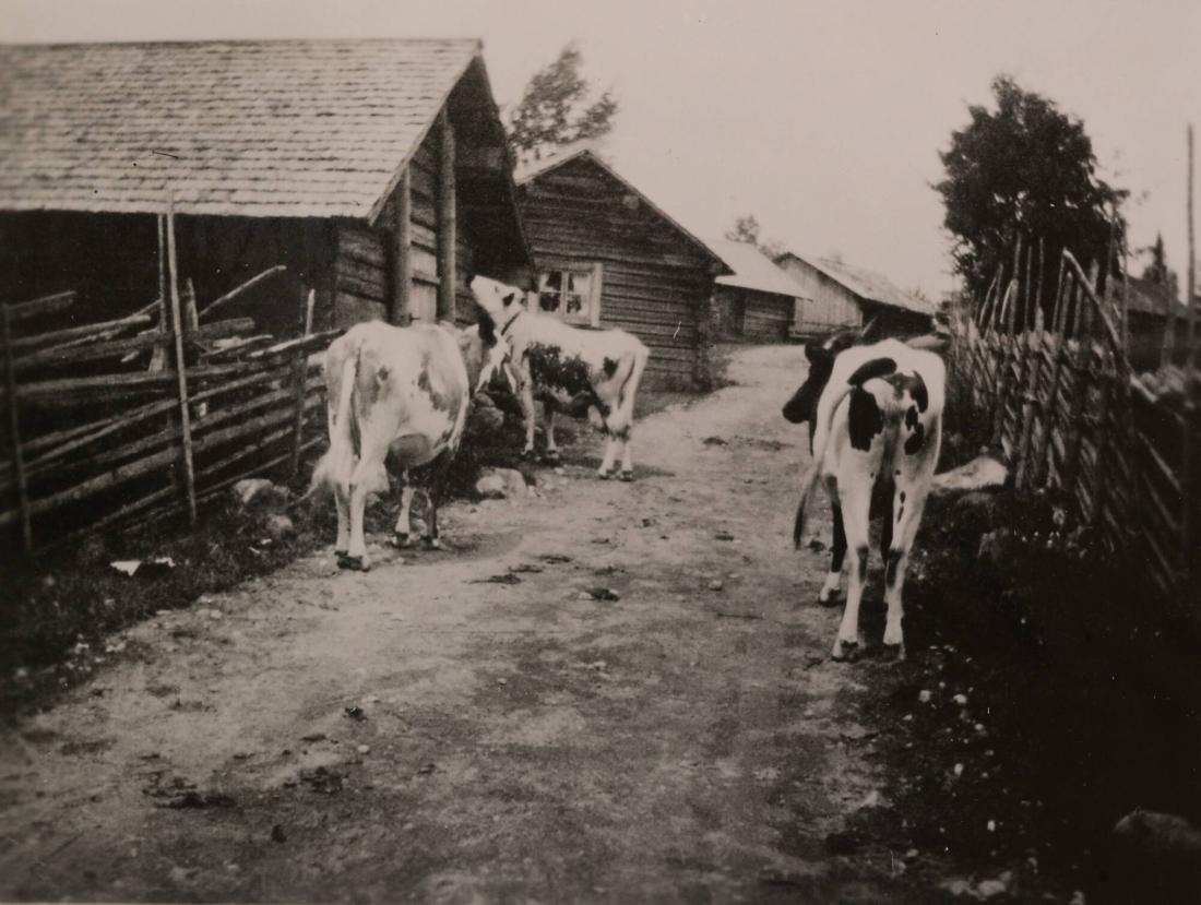 Lindors Fäbod. Orsa, Dalarna