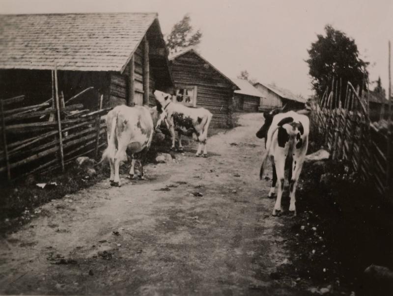 Lindors Fäbod. Orsa, Dalarna
