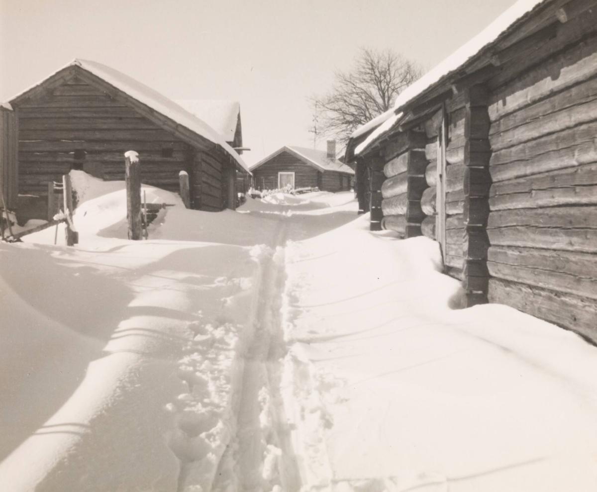 "Februarivinter", Fryksås fäbodar. Orsa