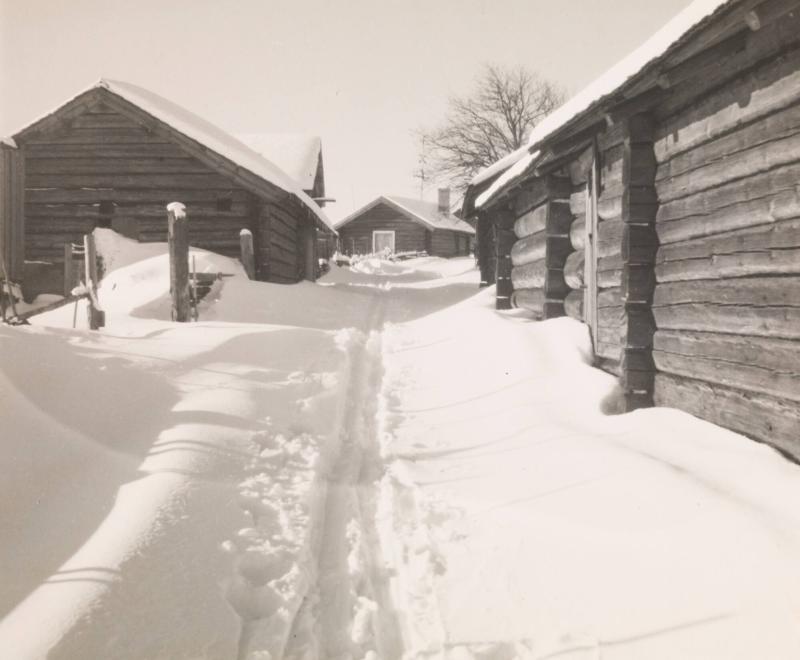 "Februarivinter", Fryksås fäbodar. Orsa