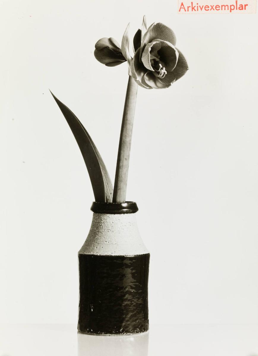 Vas Klitt i stengodschamotte