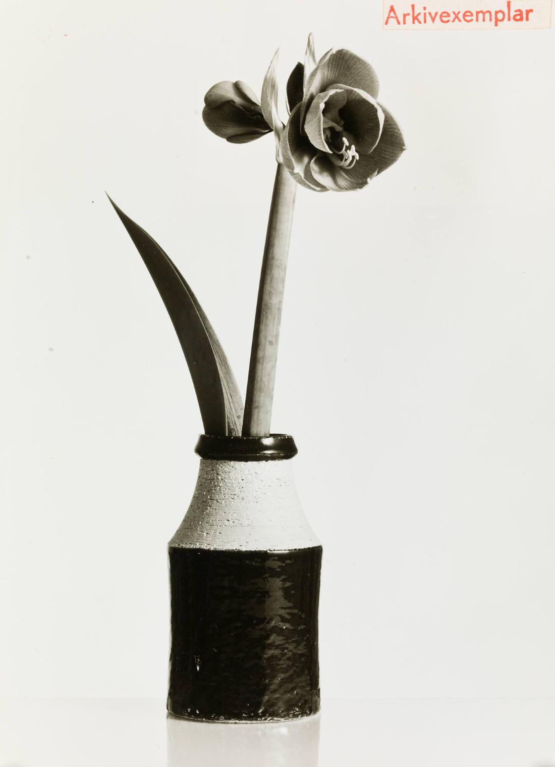 Vas Klitt i stengodschamotte