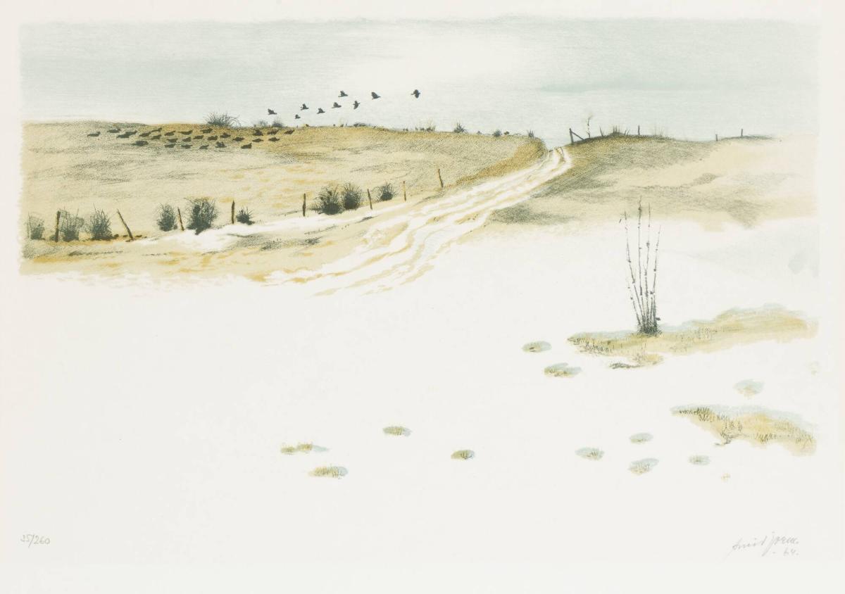 Arvid Jorm