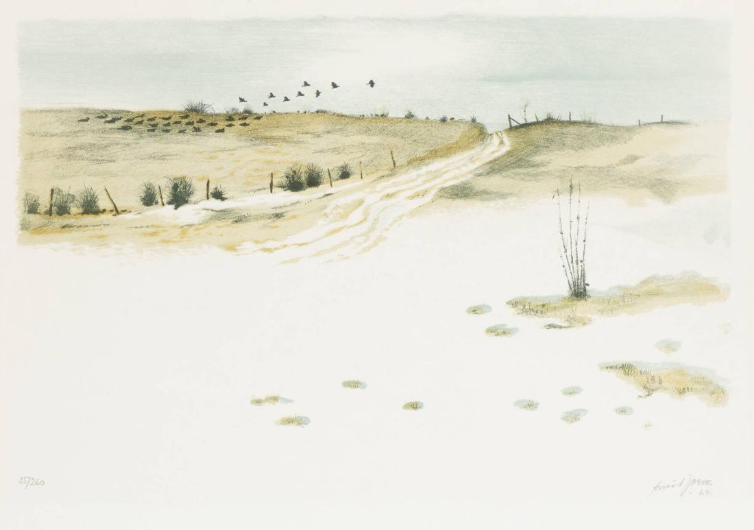 Arvid Jorm