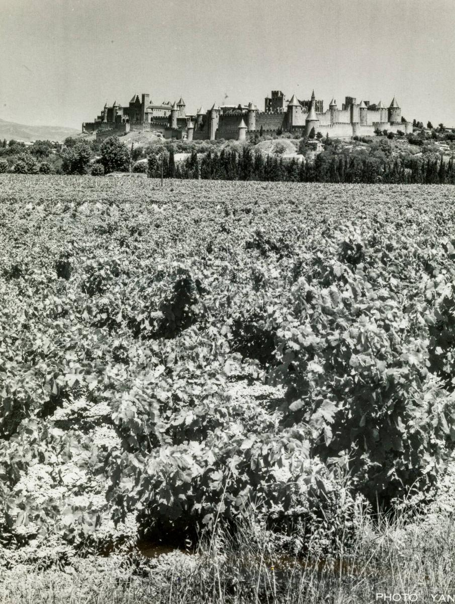 La Cité de Carcassonne