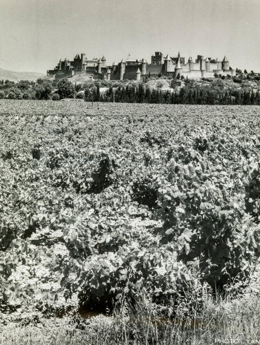 La Cité de Carcassonne