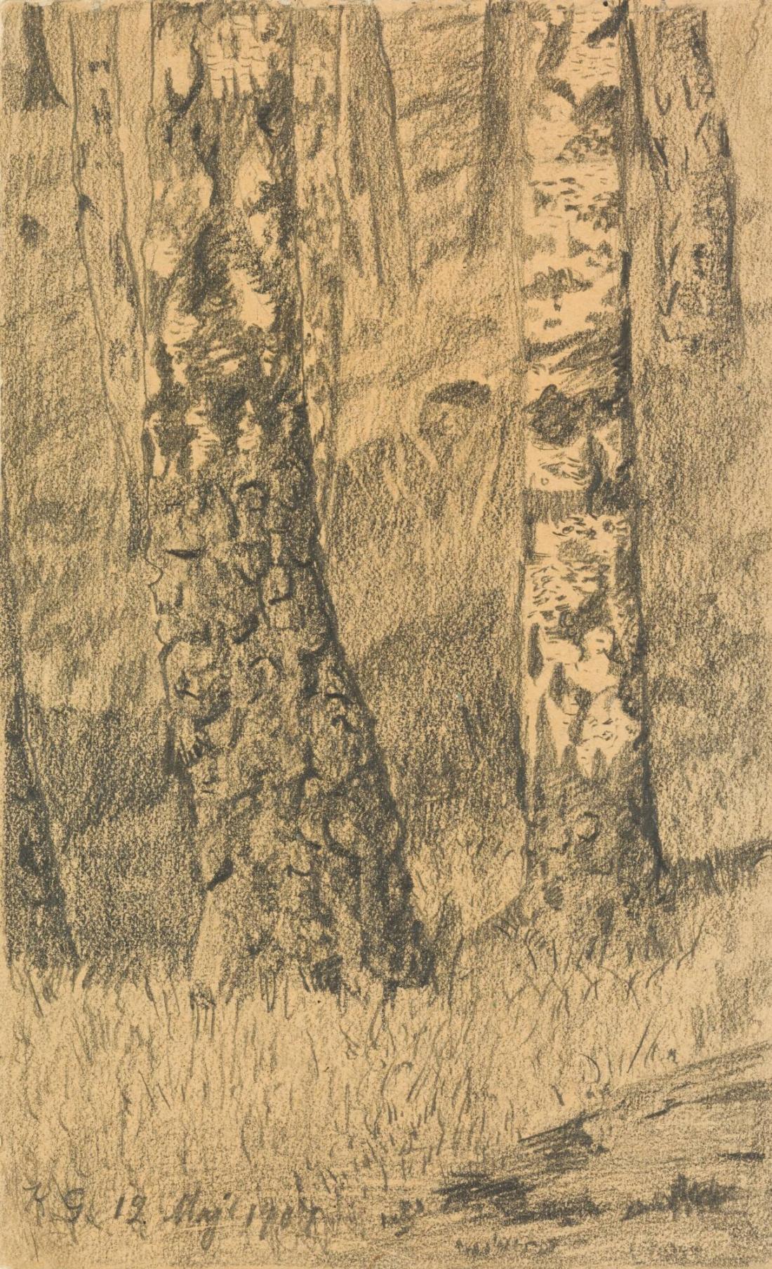 Björkskog