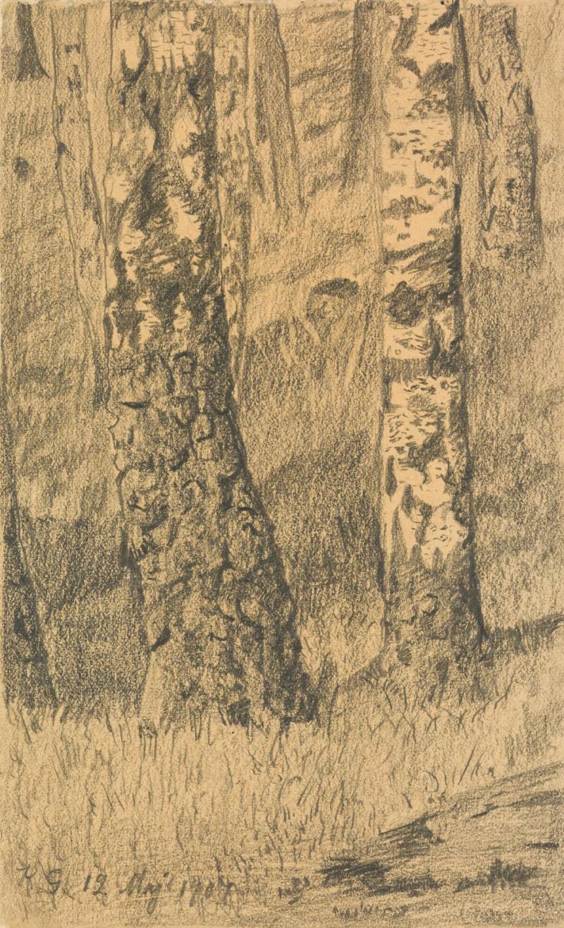Björkskog