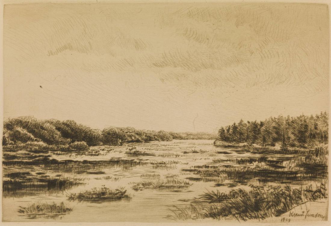 Träskmark