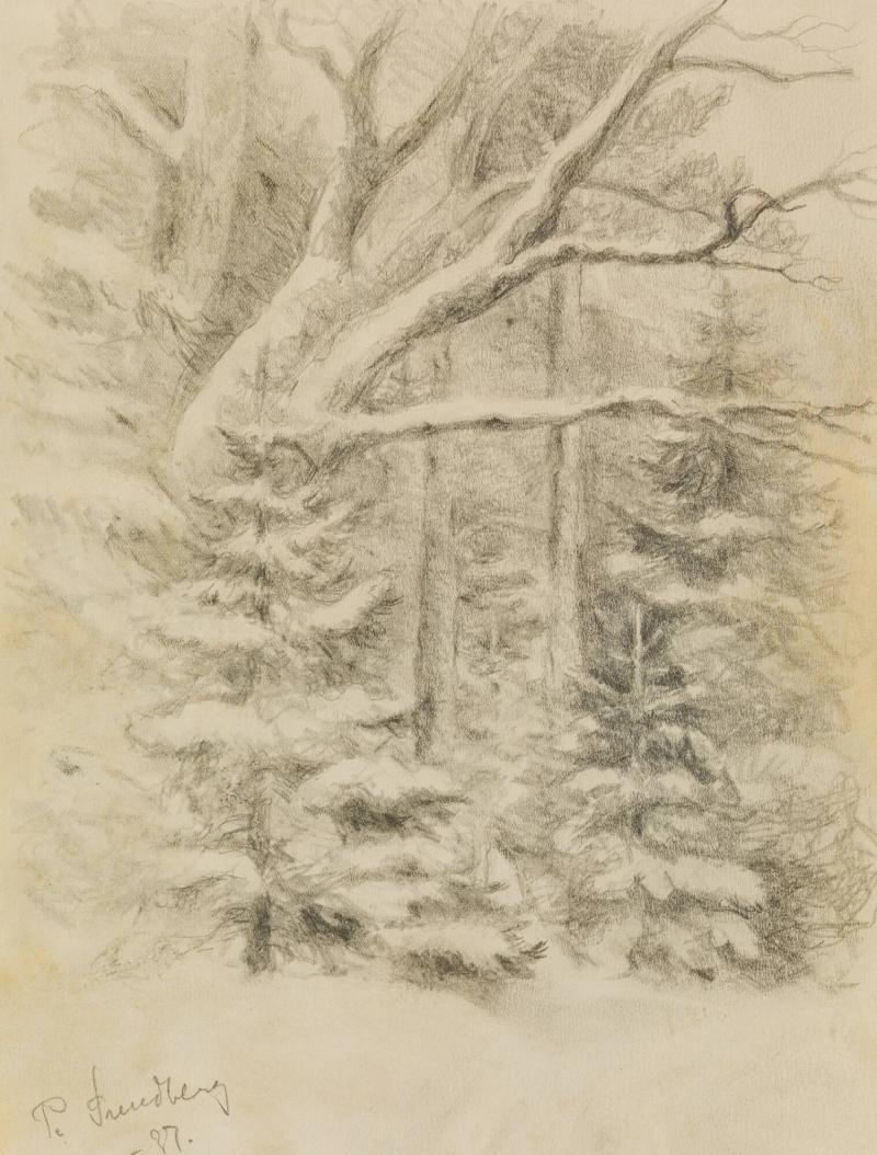 Snötyngd skog, Lidingö