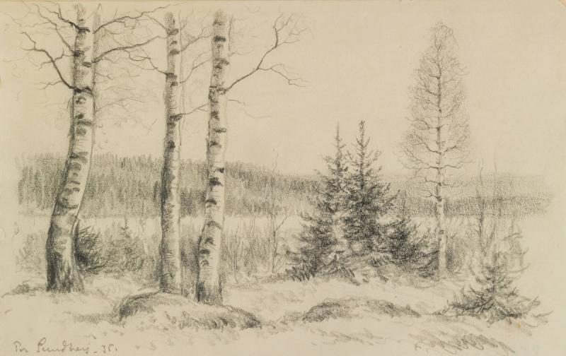 Björkhage, Håksberg, Dalarna