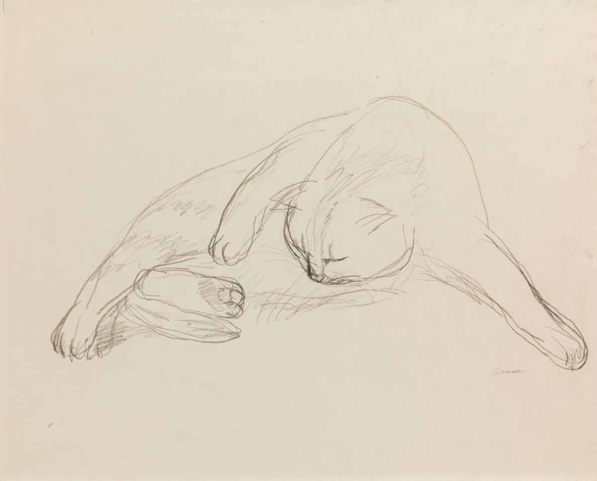 Kattstudie I
