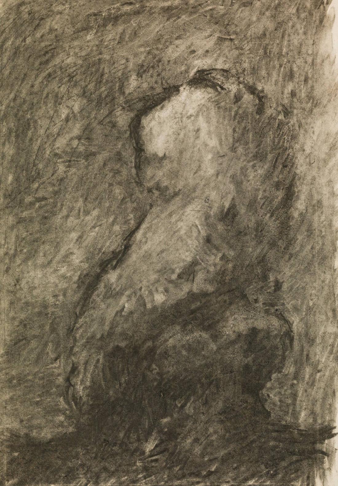 Torso