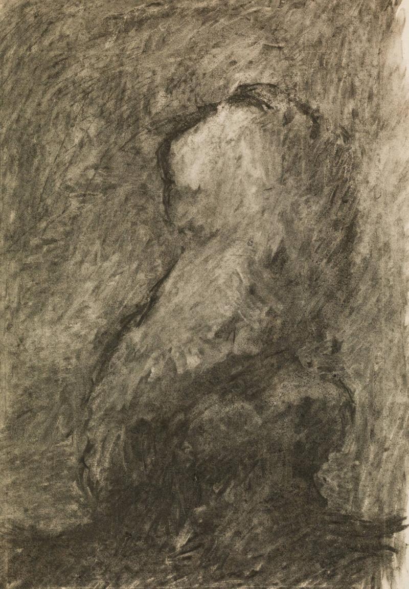 Torso