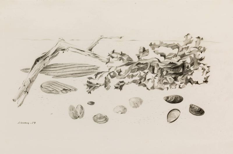 På stranden