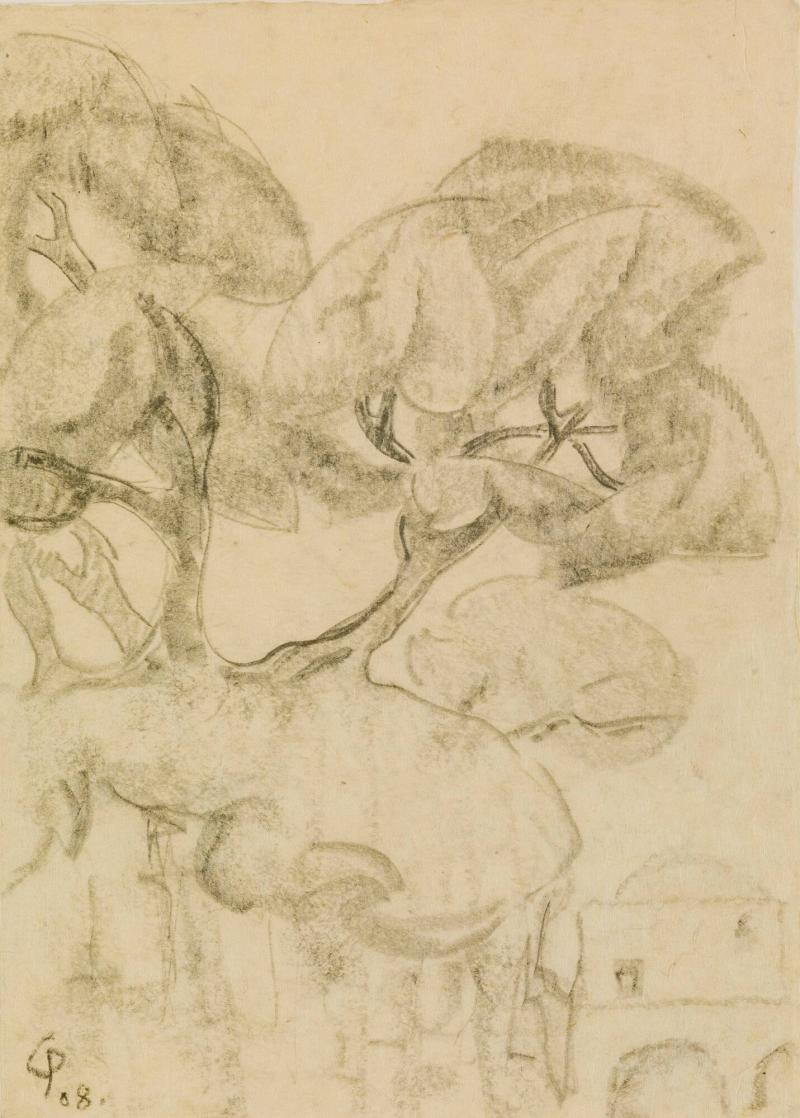Trädstudier 1908