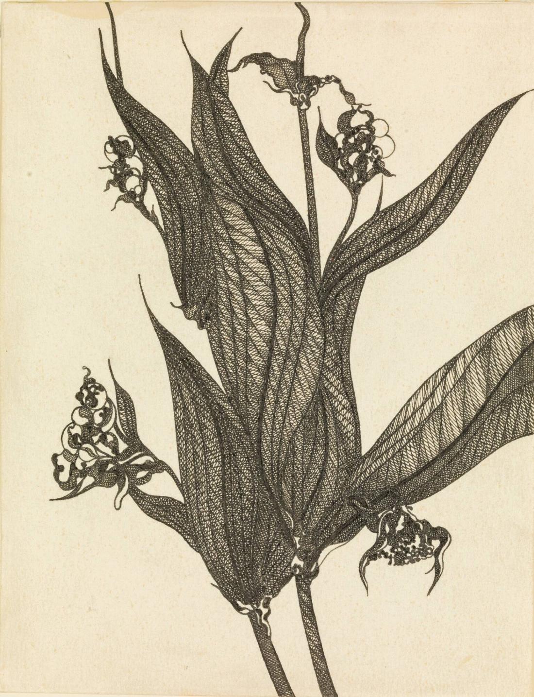 Stiliserad blomteckning