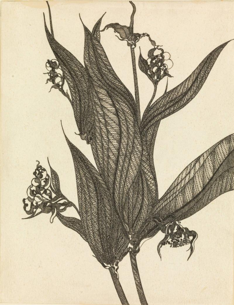 Stiliserad blomteckning