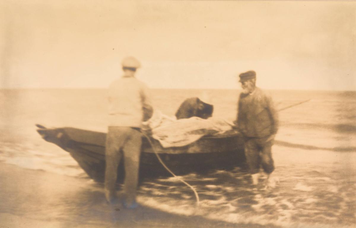 Kustfiske