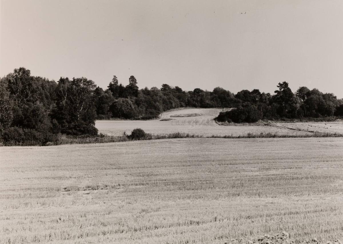 Munsö