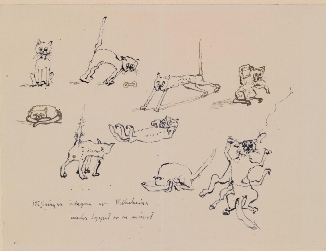 Ställningar intagna av Wilhelmina under loppet av en minut