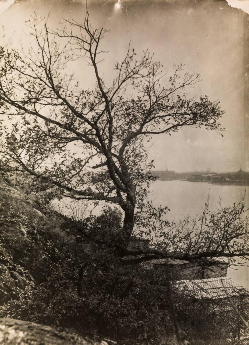 Stockholm från Fåfängan