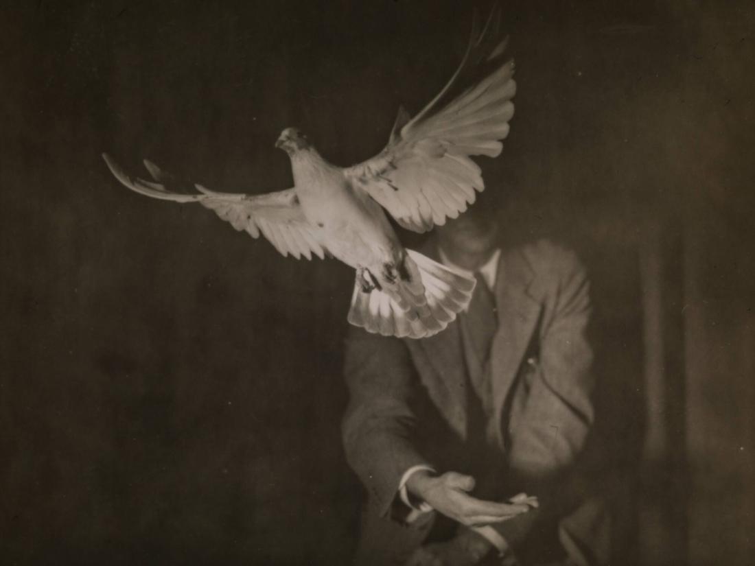 Homing Pigeon Rising from a Man's Hand