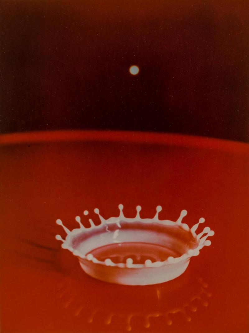 Milk Drop Splash