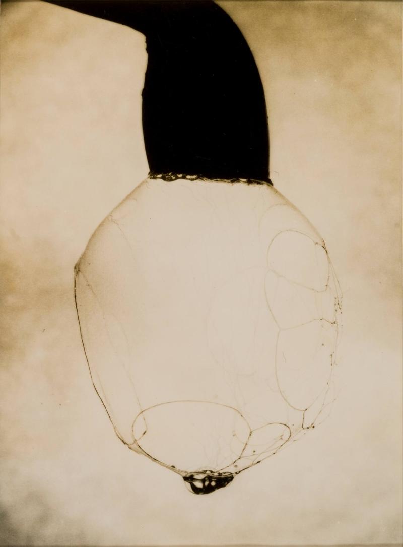 No 1 of a Series of Three Photographs showing the Collapse of a Soap Bubble