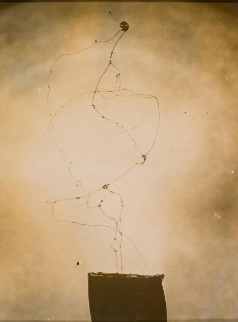 No 3 of a Series of Three Photographs