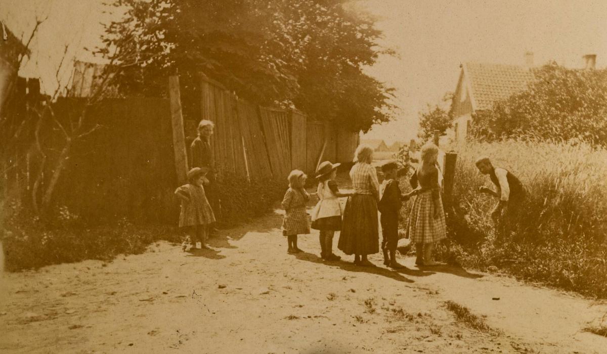 Ett fågelbo, motiv från Halland