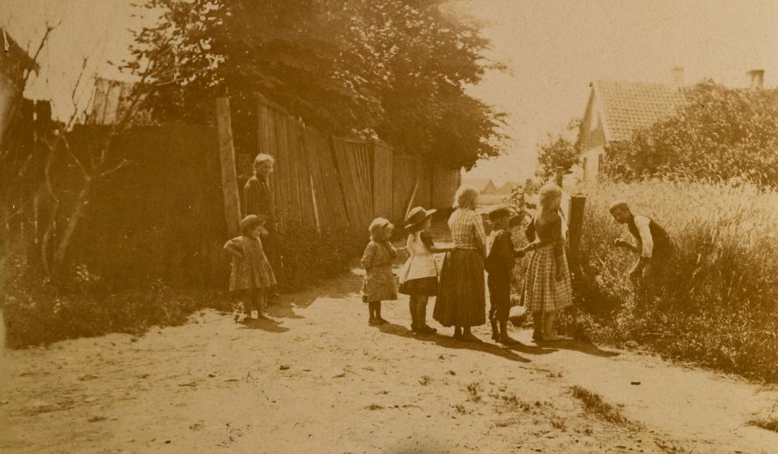 Ett fågelbo, motiv från Halland