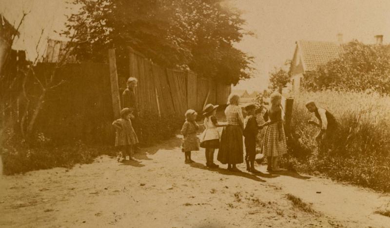 Ett fågelbo, motiv från Halland