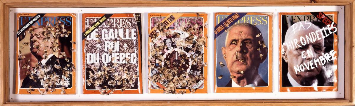 Pas d'hirondelles en novembre