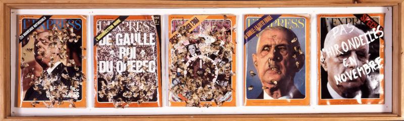 Pas d'hirondelles en novembre