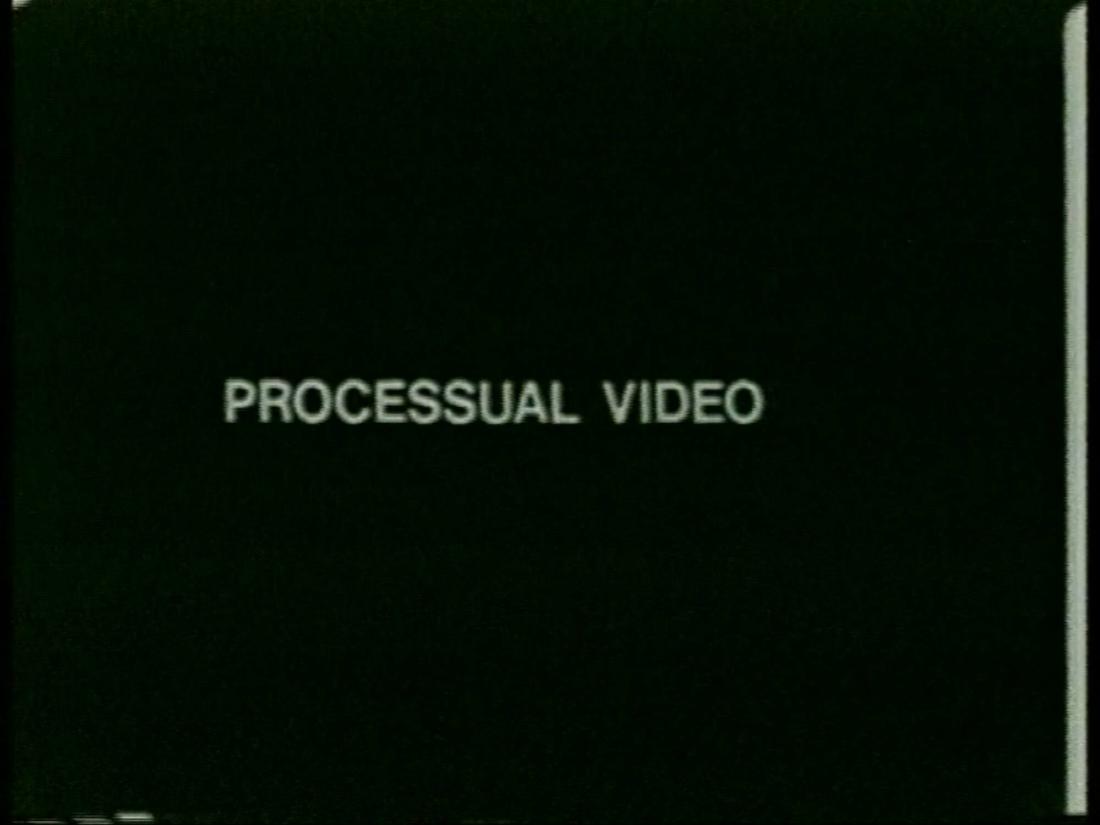 Processual Video