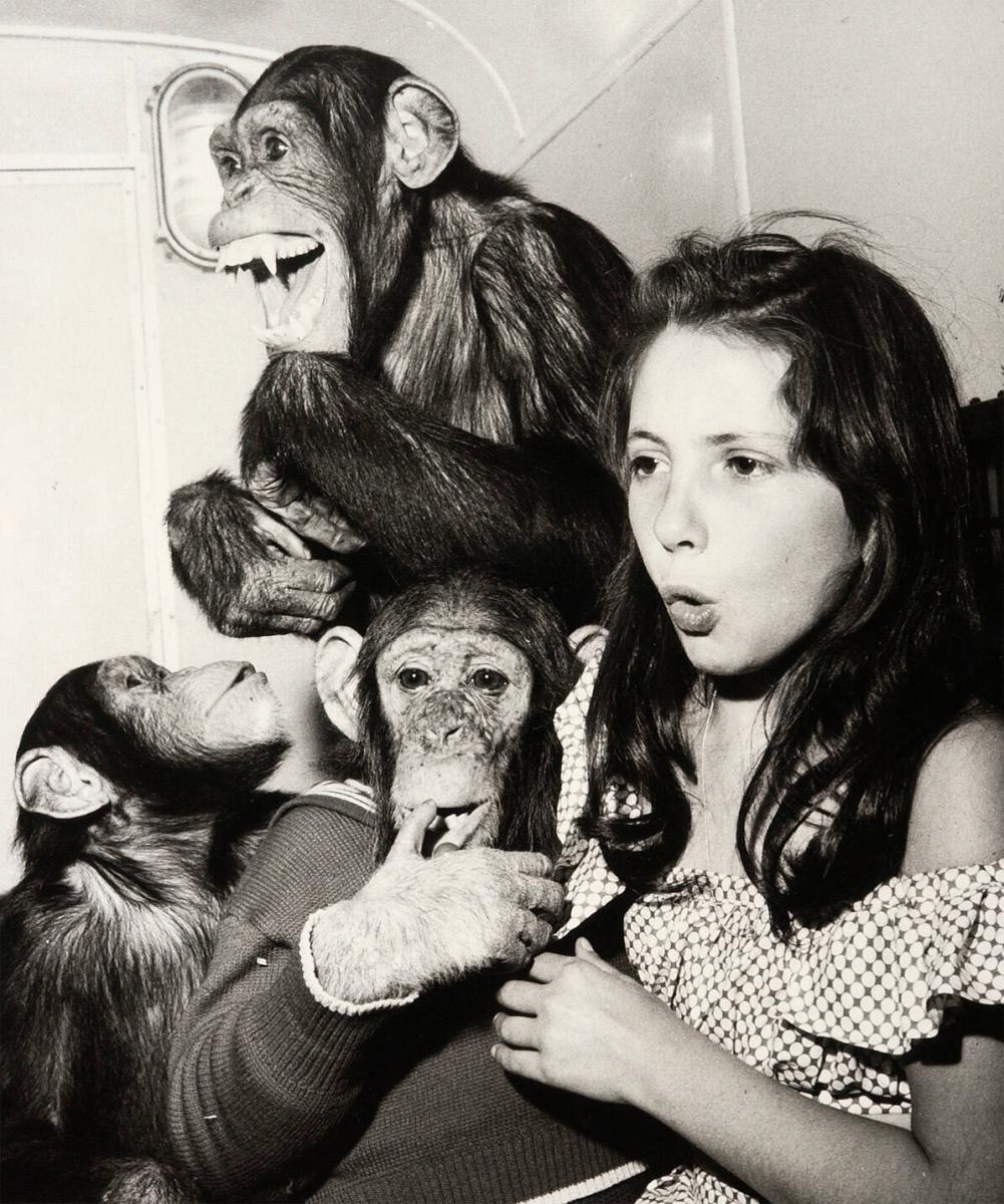 Flicka med chimpanser, Cirkus Scott