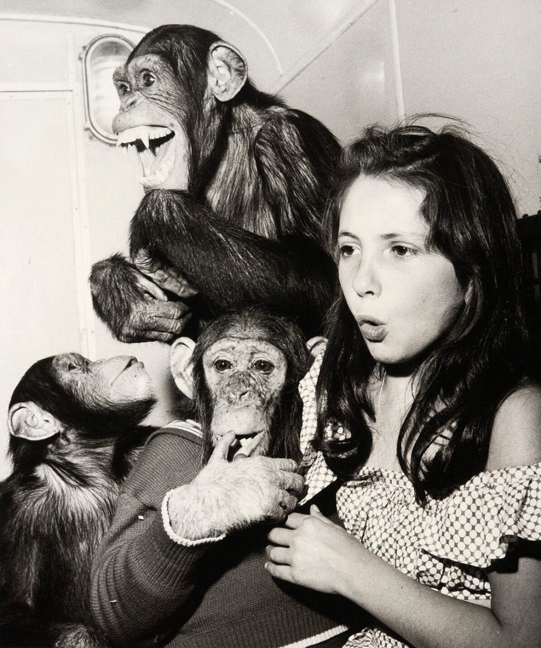 Flicka med chimpanser, Cirkus Scott