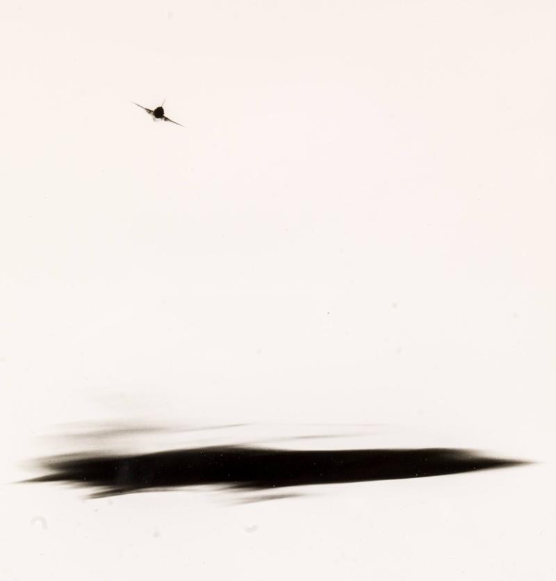 Flygplan II, Draken
