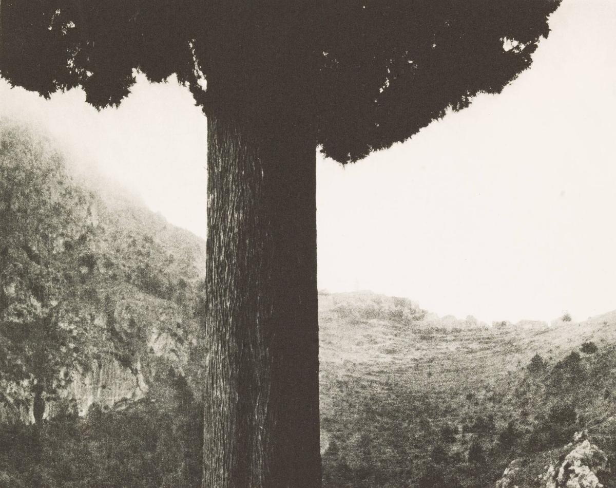 Sainte Agnise, Provence