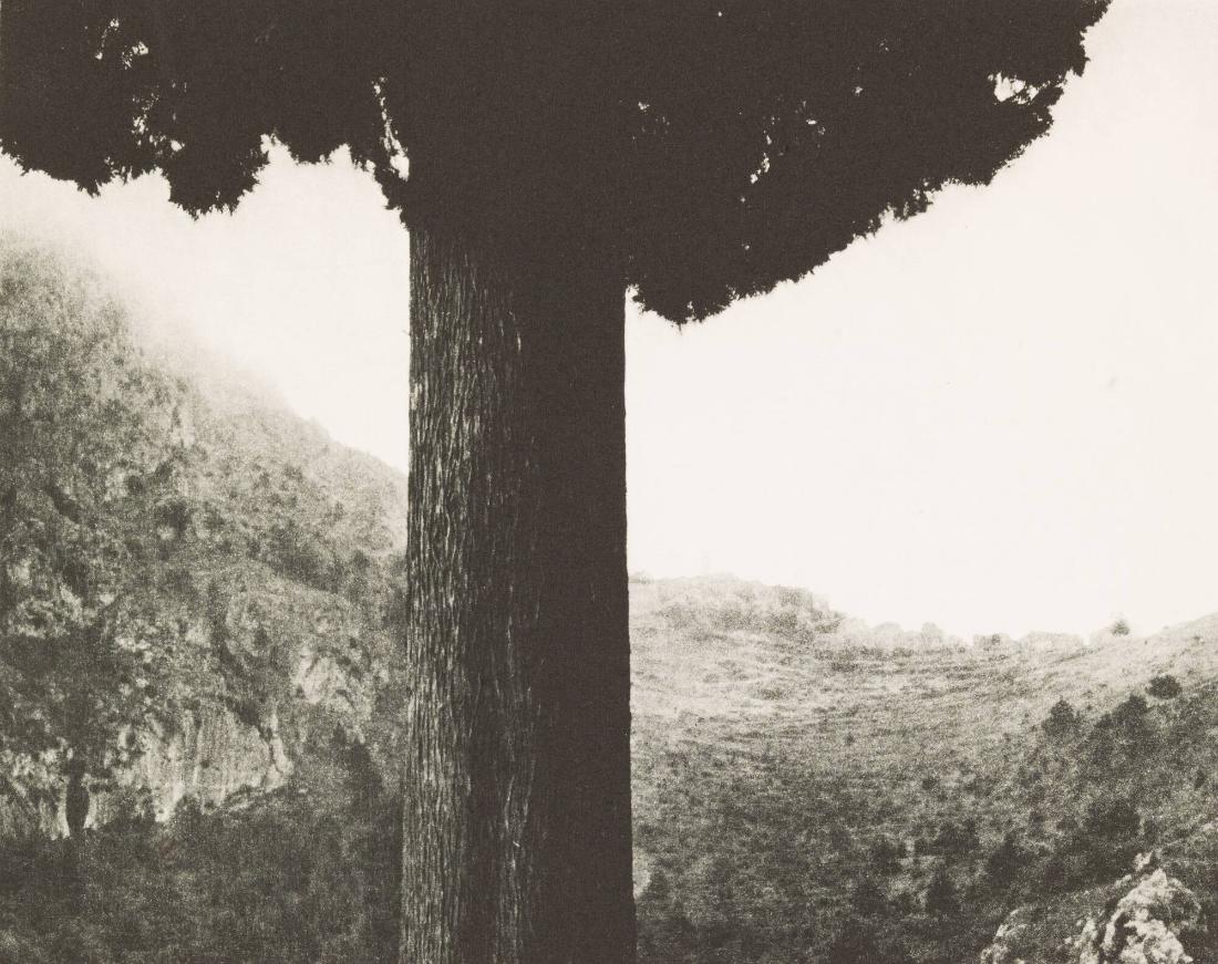 Sainte Agnise, Provence