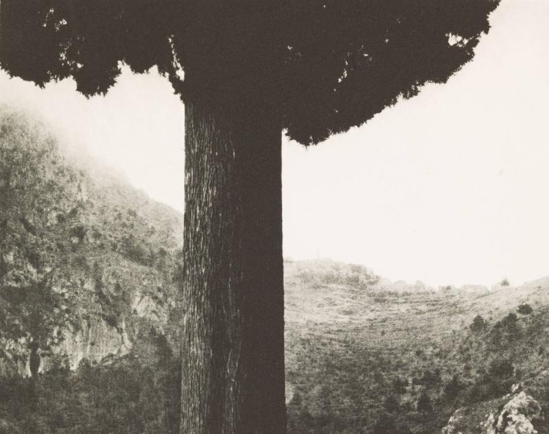 Sainte Agnise, Provence