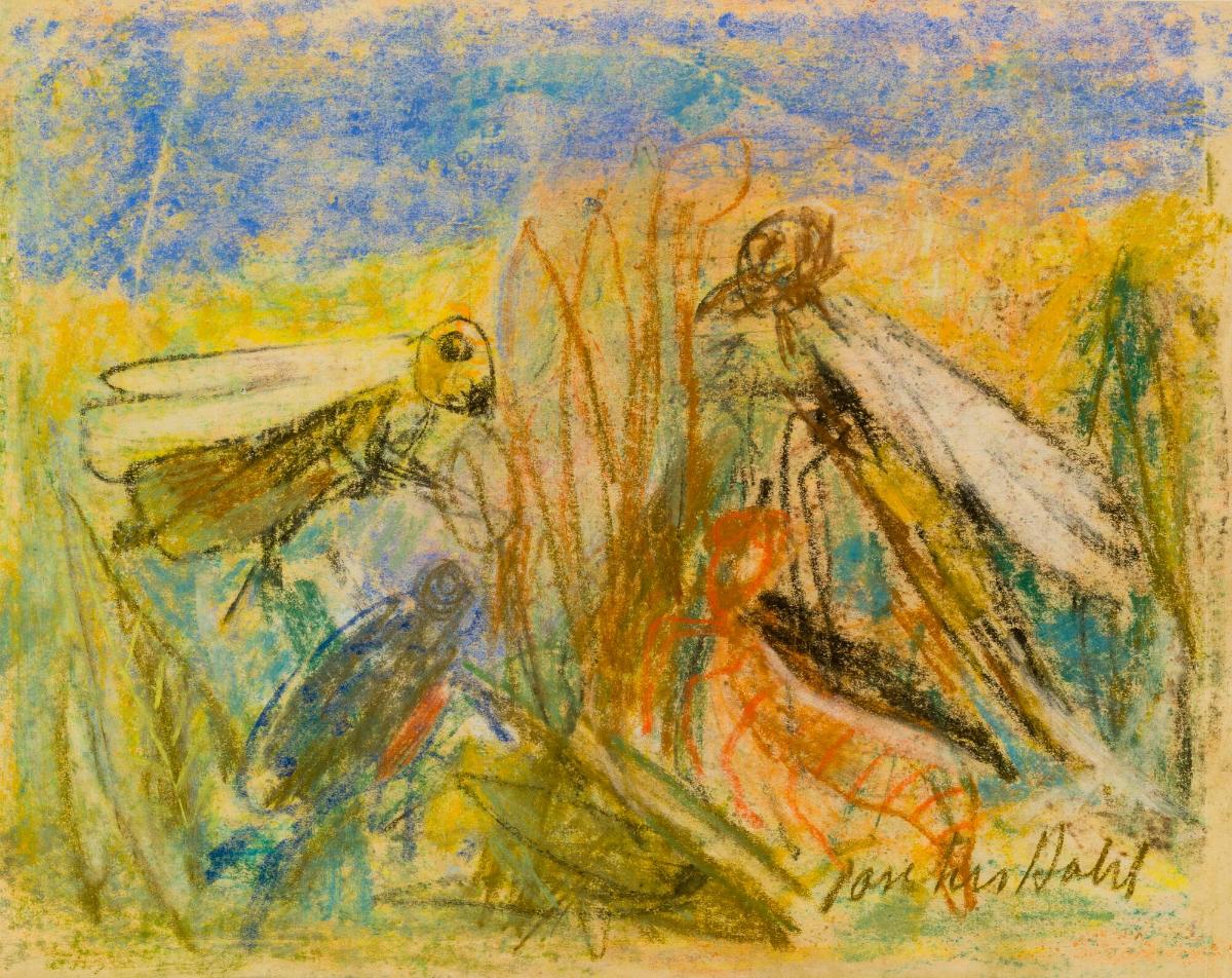 Möte mellan insekter