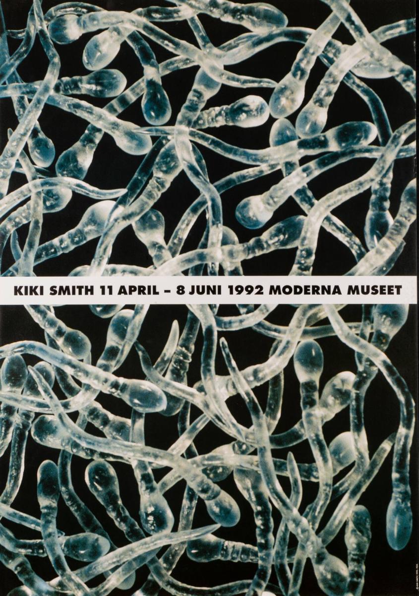 Kiki Smith
