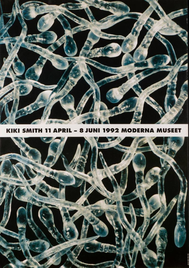 Kiki Smith
