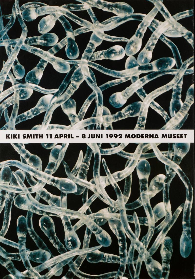 Kiki Smith
